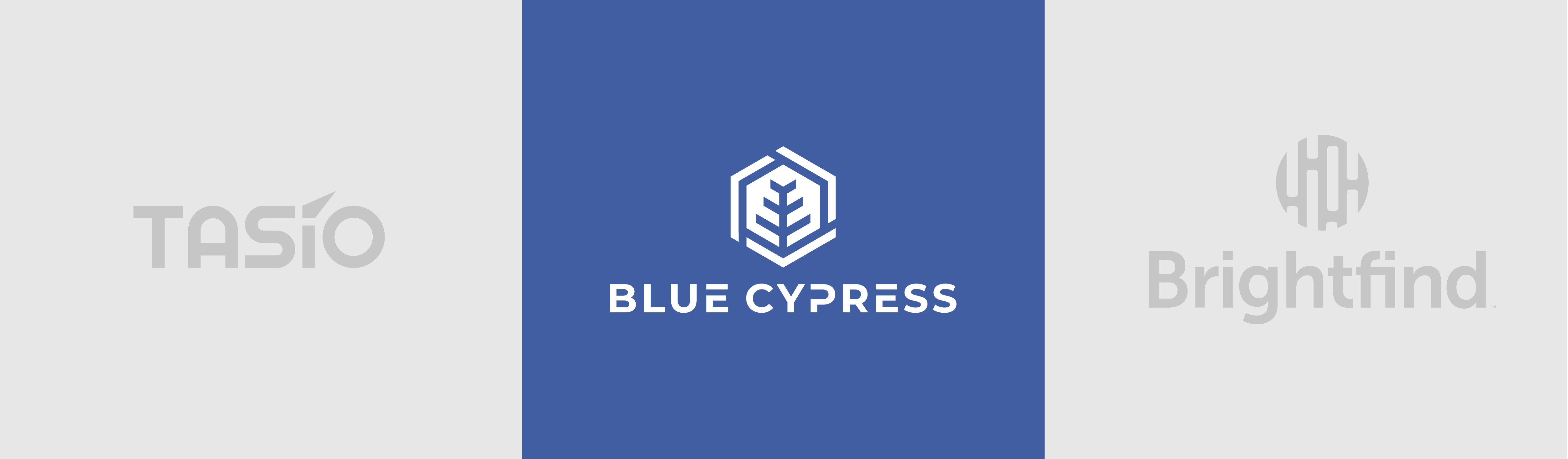 BlueCypress-Active-Logo-4