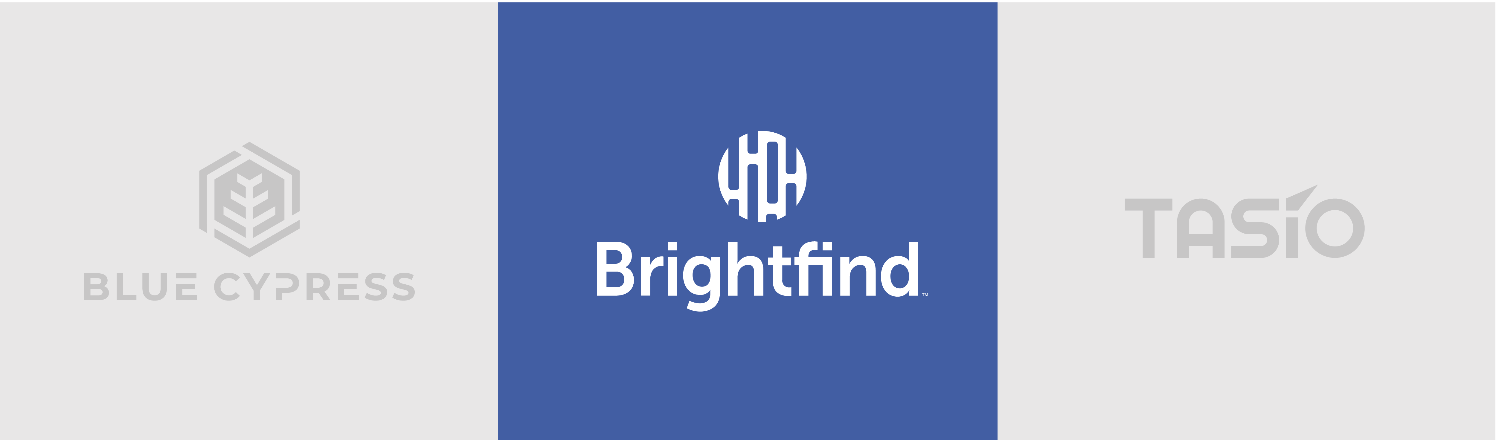 Brightfind-Active-Logo-4
